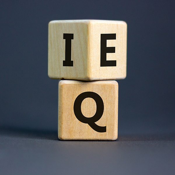 Intelligenza emotiva e autocontrollo nel rapporto con gli altri e con se stessi | Edizione II.23