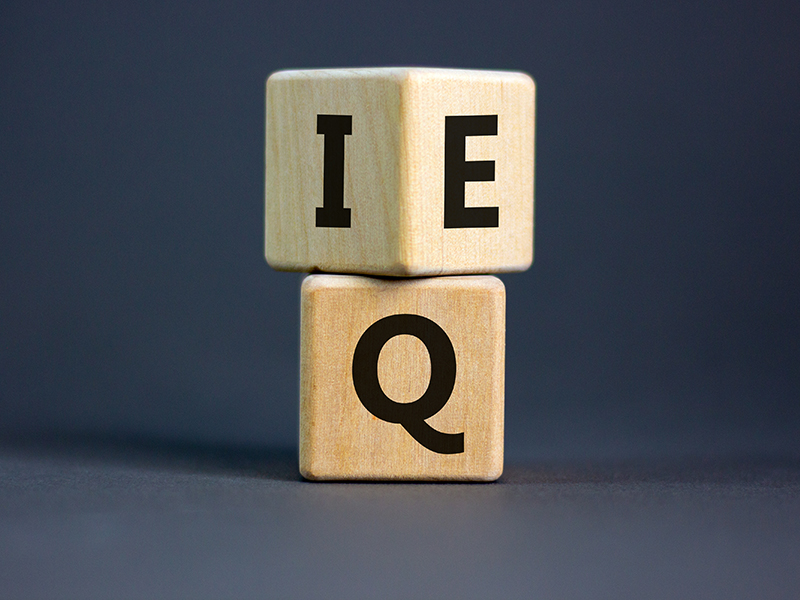 Intelligenza emotiva e autocontrollo nel rapporto con gli altri e con se stessi | Edizione II.23