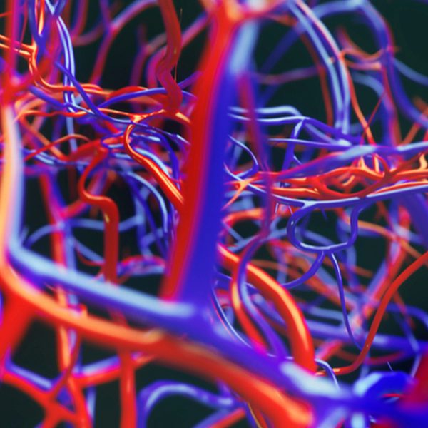 Approccio agli accessi venosi profondi (picc e midline) | Edizione I.23