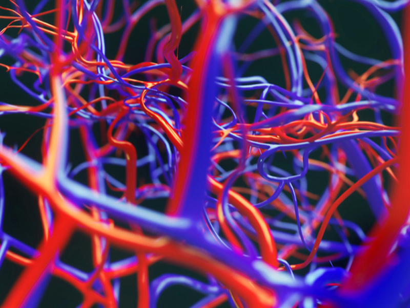 Approccio agli accessi venosi profondi (picc e midline) | Edizione I.23