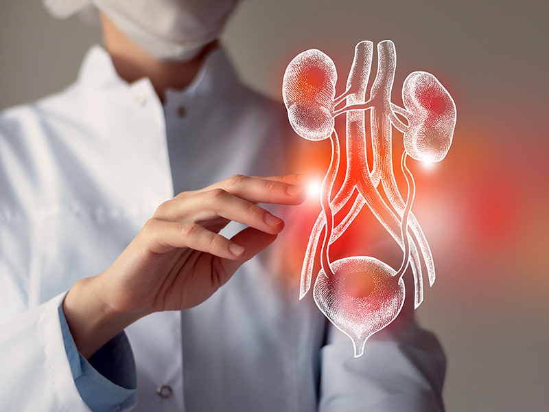 Gestione dei pazienti dializzati in un contesto extradialitico | Edizione II.23