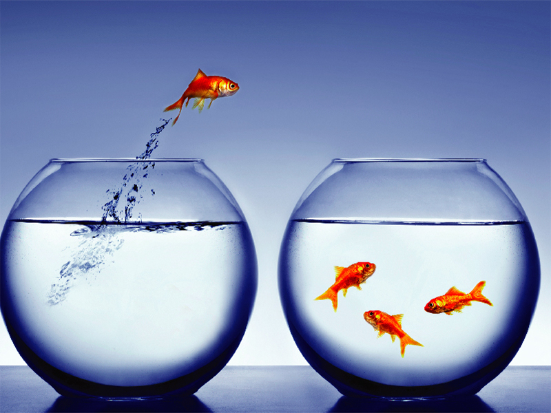 Corso ECM | Dalla solitudine all’inclusione | Edizione III.2022