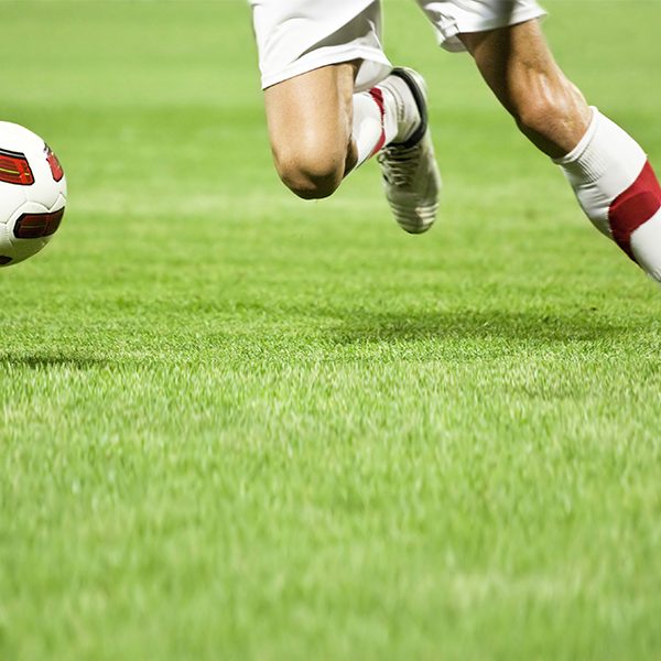 Riabilitazione del legamento crociato anteriore: dalla lesione alla fase di gestione acuta e di ritorno all’attività sportiva | Edizione I.23