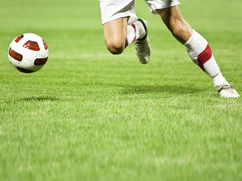 Riabilitazione del legamento crociato anteriore: dalla lesione alla fase di gestione acuta e di ritorno all’attività sportiva | Edizione I.23