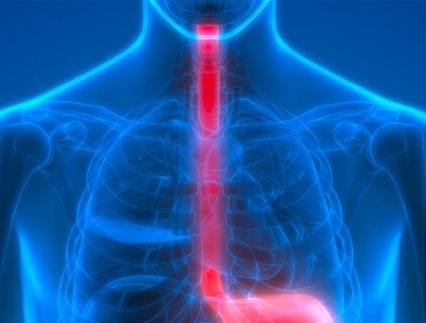 La disfagia nelle cerebrolesioni acquisite | Edizione II.24