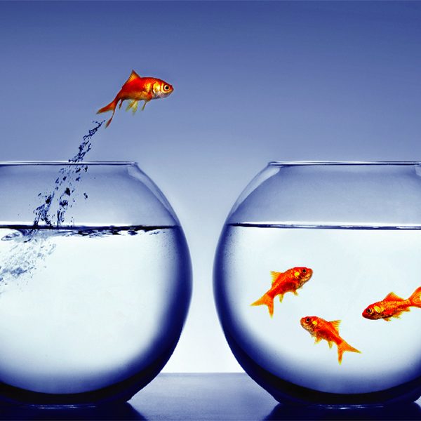 Corso ECM | Dalla solitudine all’inclusione | Edizione I.2023