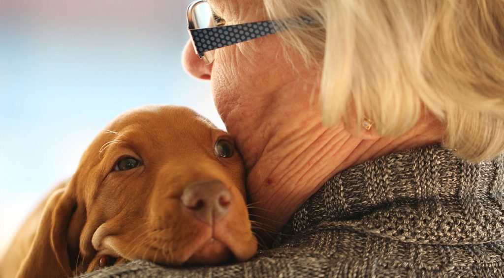 Amici con la coda: i progetti Pet Friendly di Korian